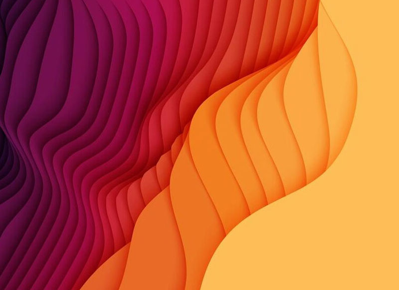 Web designer in Calicut, Professional Website Designer Kozhikode