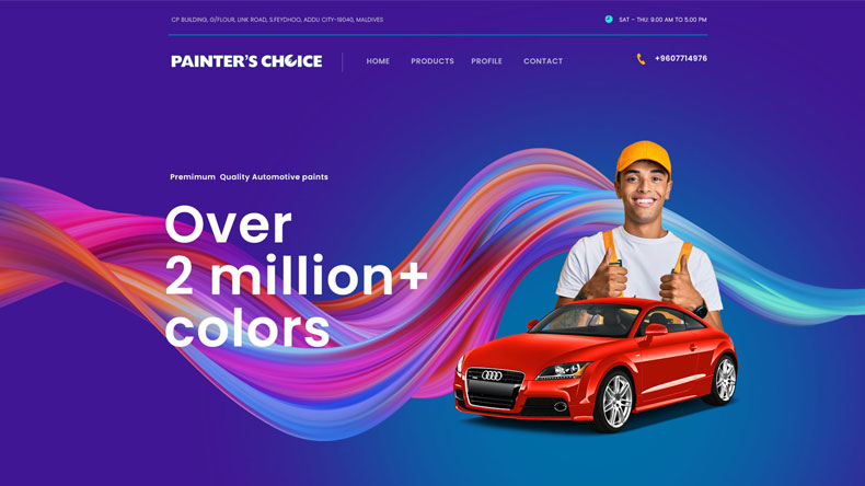 Paint shop web design India