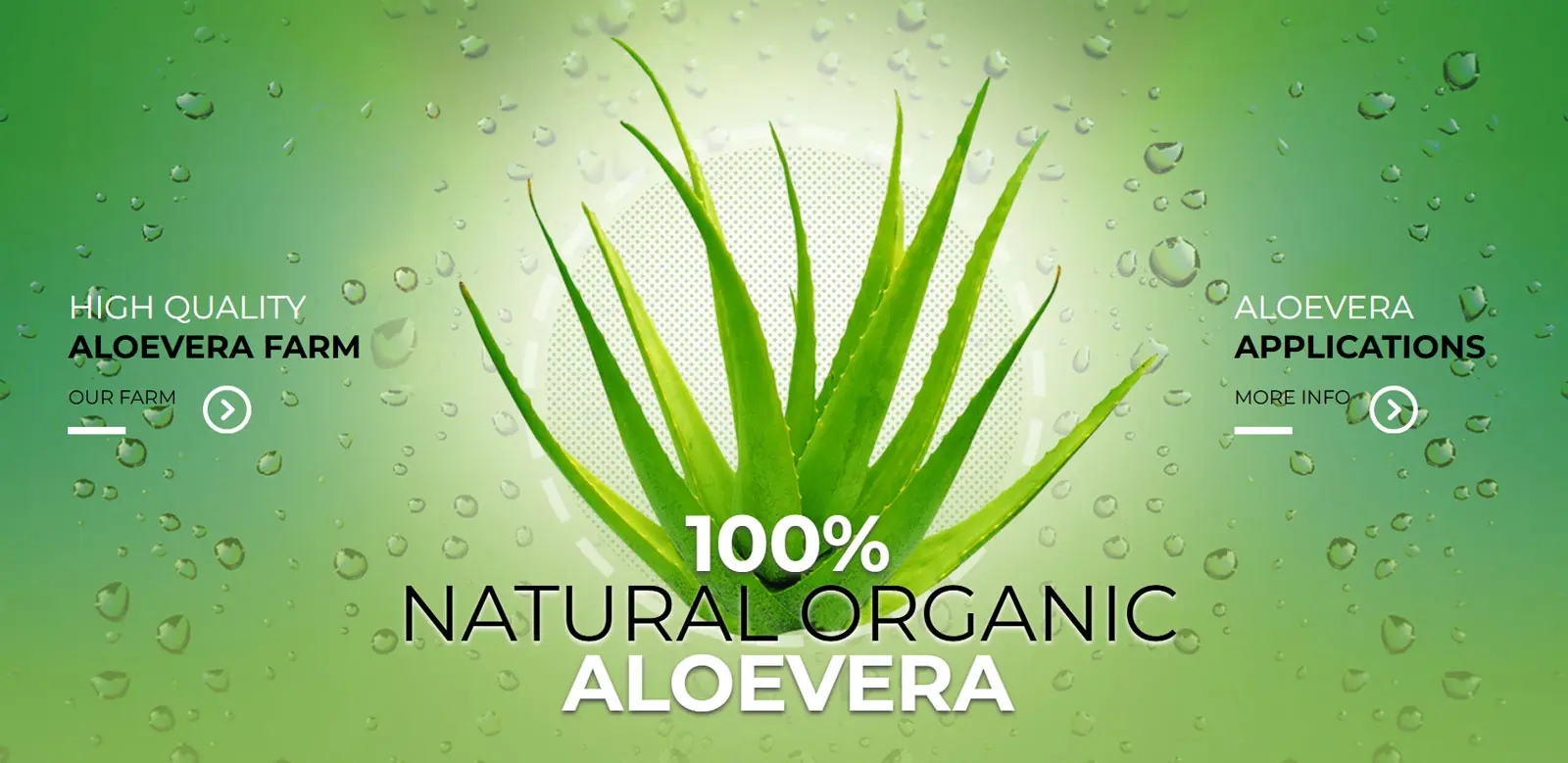 Aloevera web design