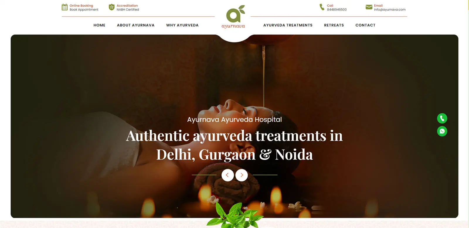 ayurveda website designed by a professional web designer in Kerala