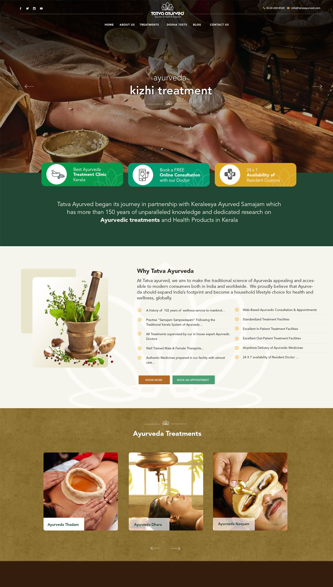 Ayurveda web design Calicut