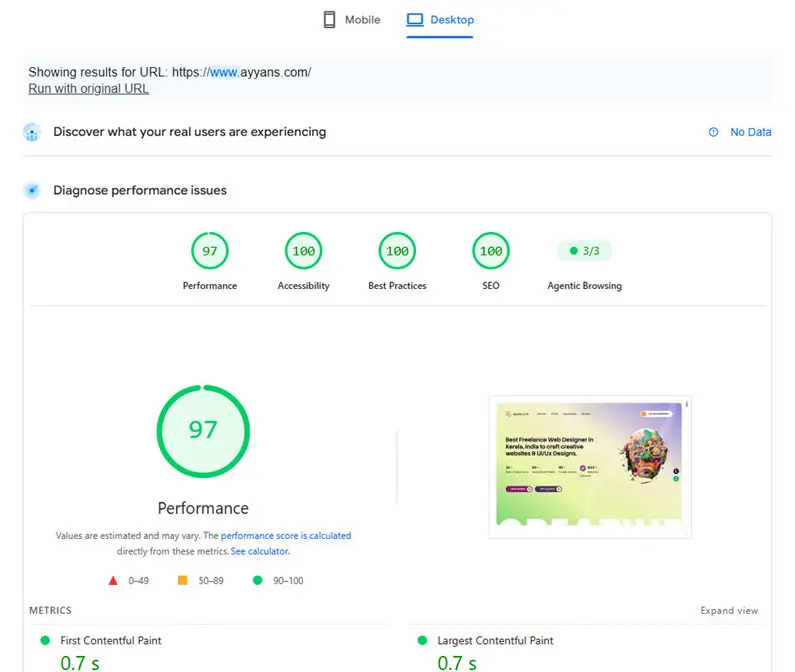 Top Google PageSpeed Insights score achieved by Ayyans Web Solutions.