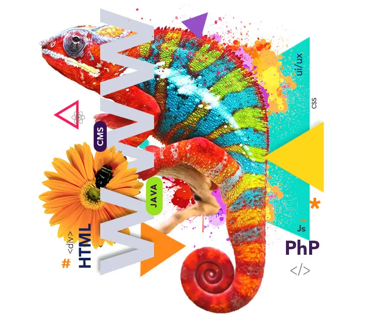 web design Kerala